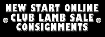 New Start Consignments