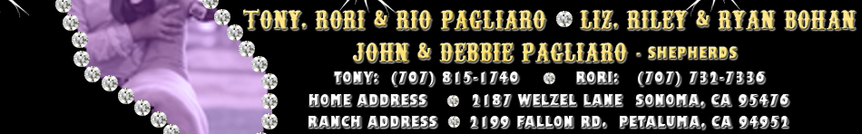 Tony, Rori & Rio Pagliaro - Liz, Riley & Ryan Bohan - John & Debbie Pagliaro