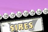 Sires