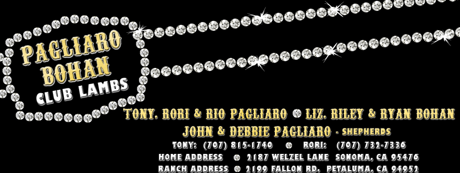 Pagliaro-Bohan Club Lambs