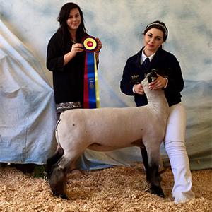 Winners