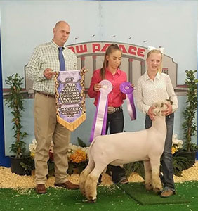 Winners